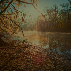 Keith Carter - Little Cow Creek