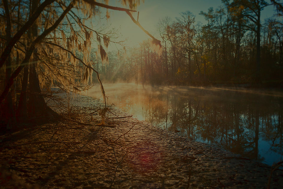 Keith Carter - Little Cow Creek